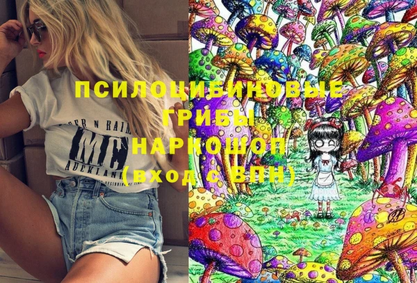 PSILOCYBIN Беломорск